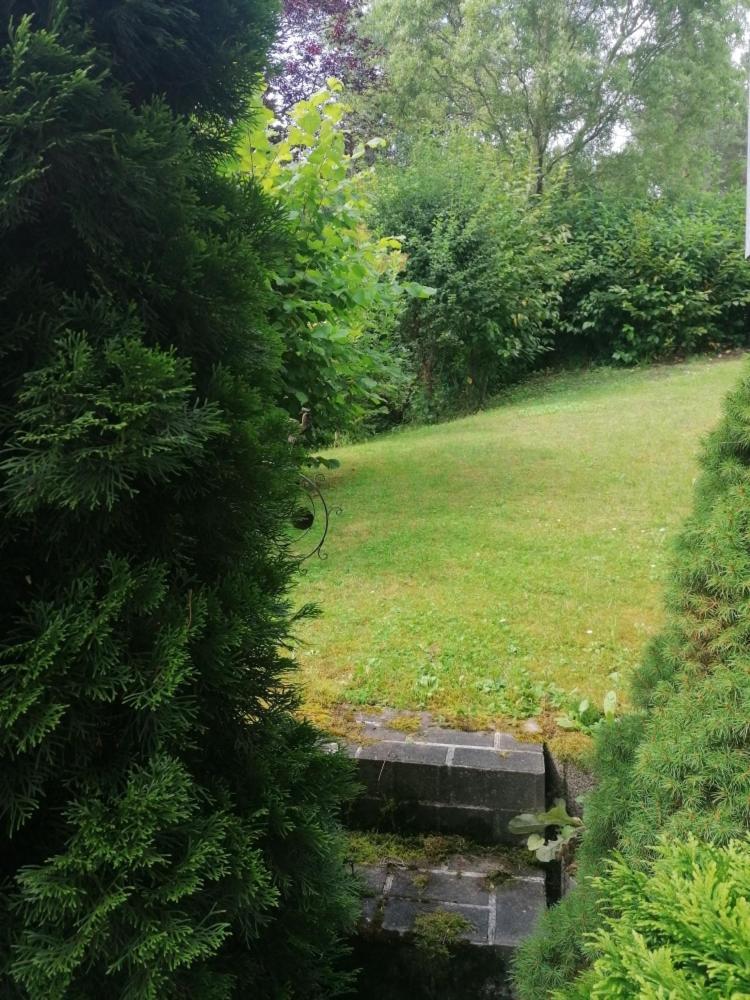 Fewo Grenzenlos In Ramsberg Pleinfeld Bagian luar foto